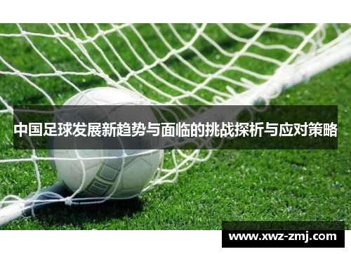 中国足球发展新趋势与面临的挑战探析与应对策略