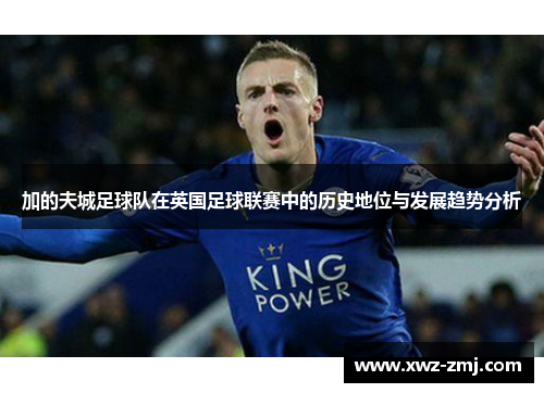 加的夫城足球队在英国足球联赛中的历史地位与发展趋势分析