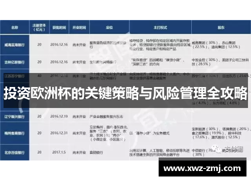 投资欧洲杯的关键策略与风险管理全攻略